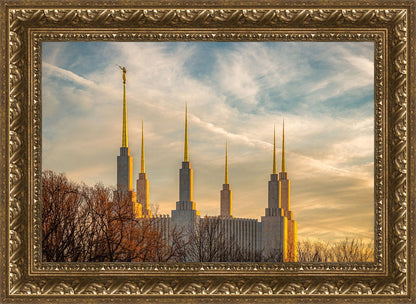 Golden Hour Washington DC Temple
