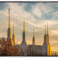 Golden Hour Washington DC Temple