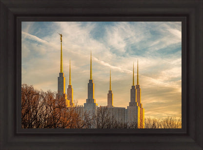Golden Hour Washington DC Temple