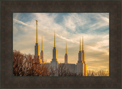 Golden Hour Washington DC Temple