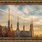 Golden Hour Washington DC Temple