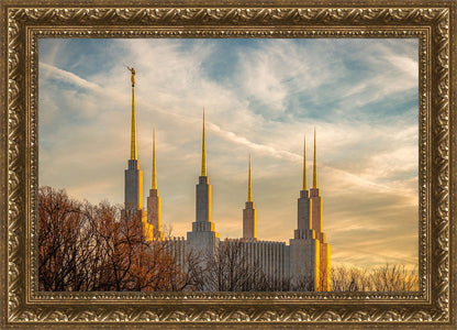 Golden Hour Washington DC Temple