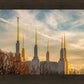 Golden Hour Washington DC Temple