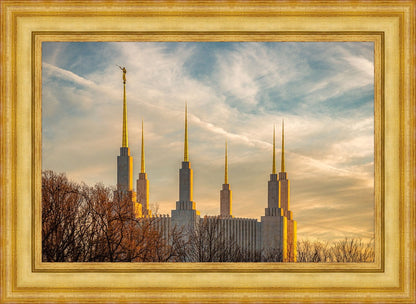 Golden Hour Washington DC Temple