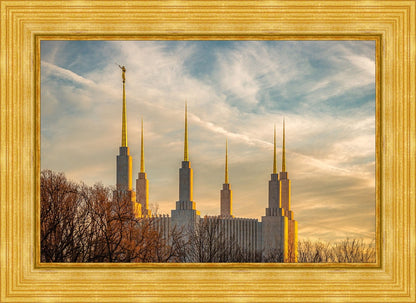Golden Hour Washington DC Temple