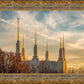 Golden Hour Washington DC Temple