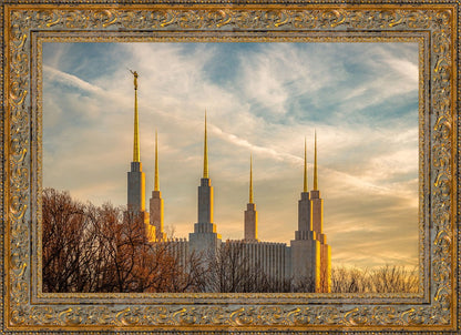 Golden Hour Washington DC Temple