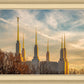Golden Hour Washington DC Temple