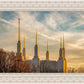Golden Hour Washington DC Temple