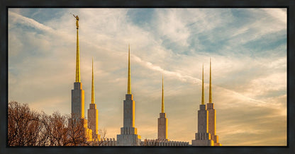 Golden Hour Washington DC Temple