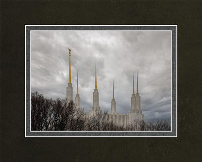 Washington DC Through Life's Storms