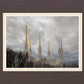 Washington DC Through Life's Storms