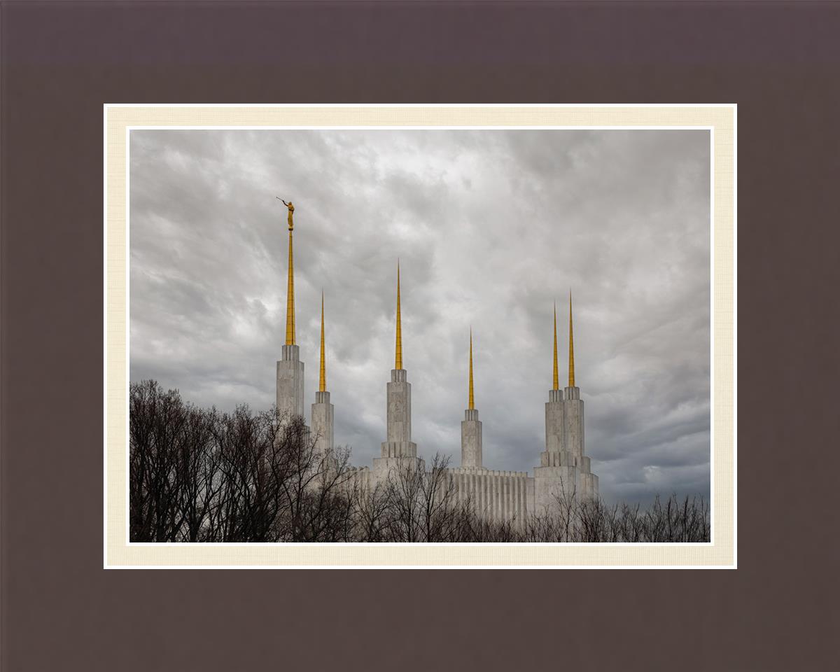 Washington DC Through Life's Storms