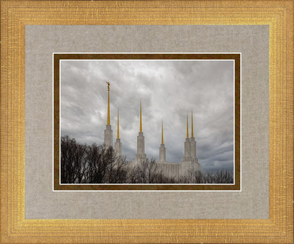 Washington DC Through Life's Storms