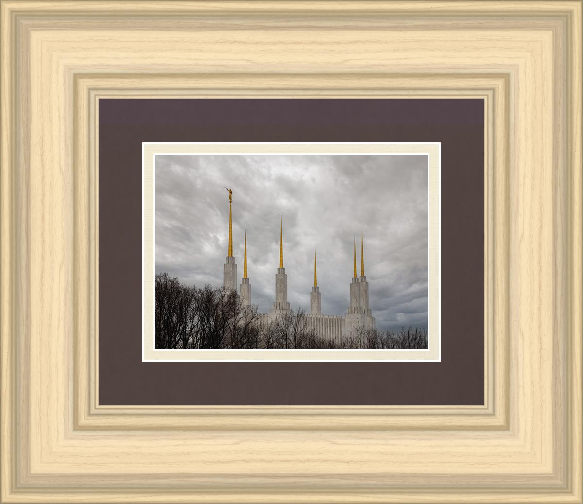 Washington DC Through Life's Storms