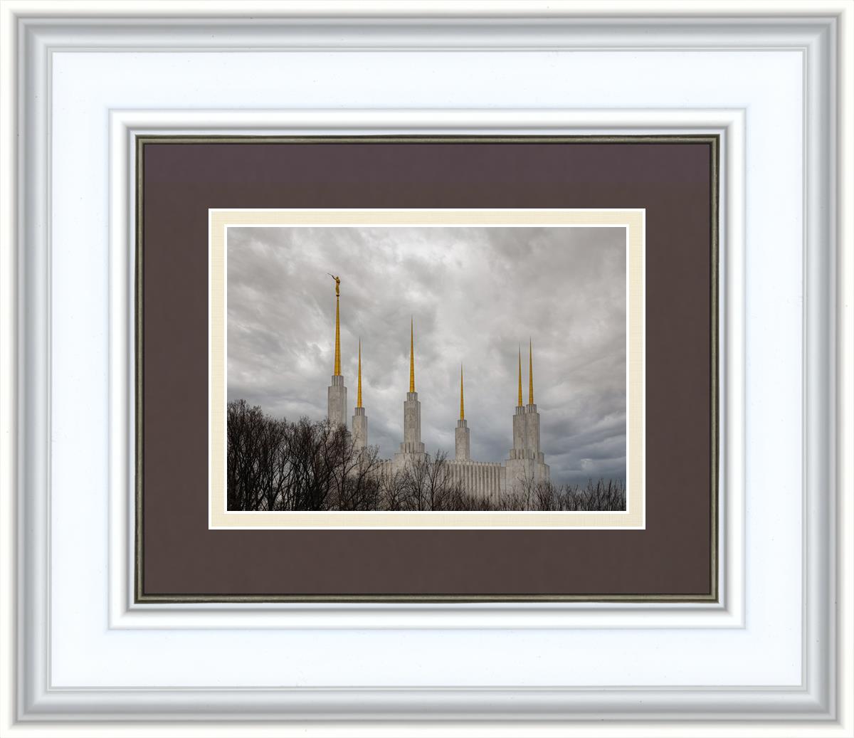 Washington DC Through Life's Storms