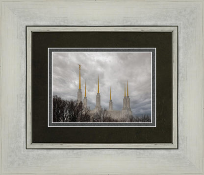 Washington DC Through Life's Storms