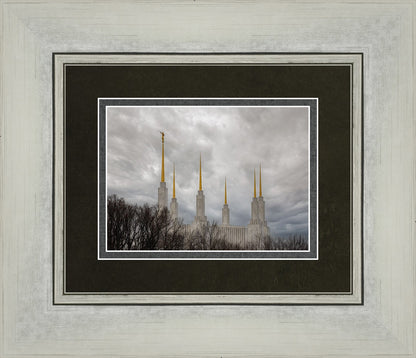 Washington DC Through Life's Storms