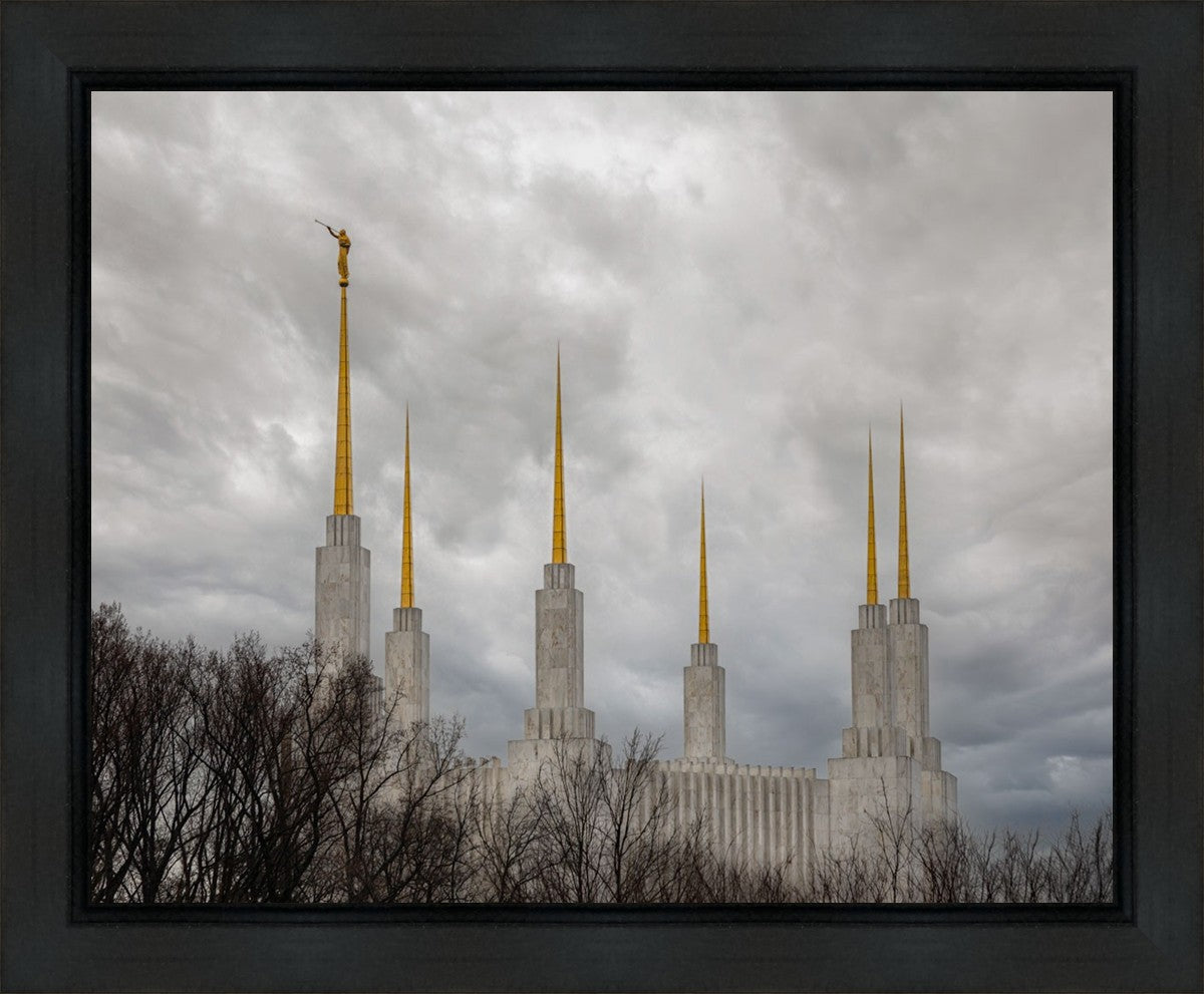 Washington DC Through Life's Storms Gallery Wrap