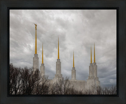 Washington DC Through Life's Storms