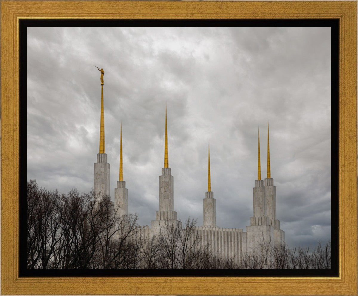 Washington DC Through Life's Storms Gallery Wrap