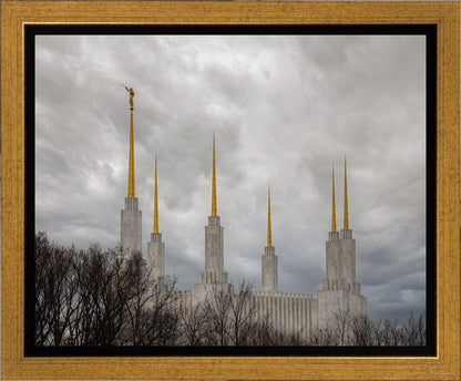 Washington DC Through Life's Storms