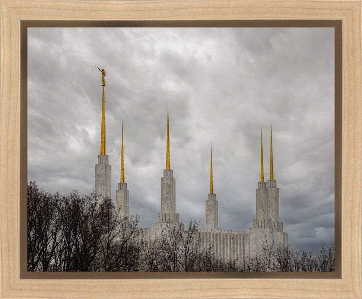 Washington DC Through Life's Storms Gallery Wrap