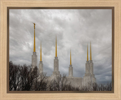 Washington DC Through Life's Storms