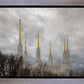 Washington DC Through Life's Storms