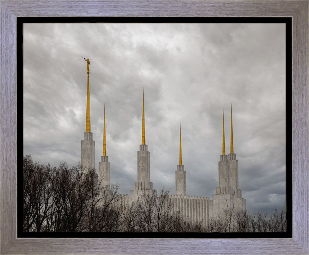 Washington DC Through Life's Storms Gallery Wrap
