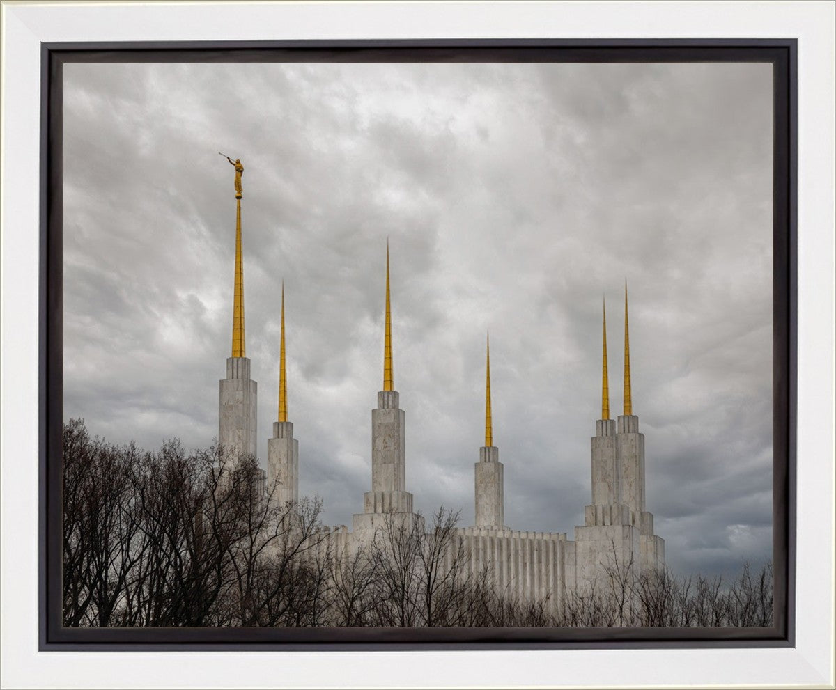 Washington DC Through Life's Storms Gallery Wrap