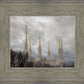 Washington DC Through Life's Storms