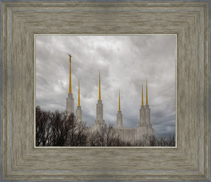 Washington DC Through Life's Storms