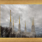 Washington DC Through Life's Storms