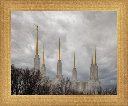 Washington DC Through Life's Storms