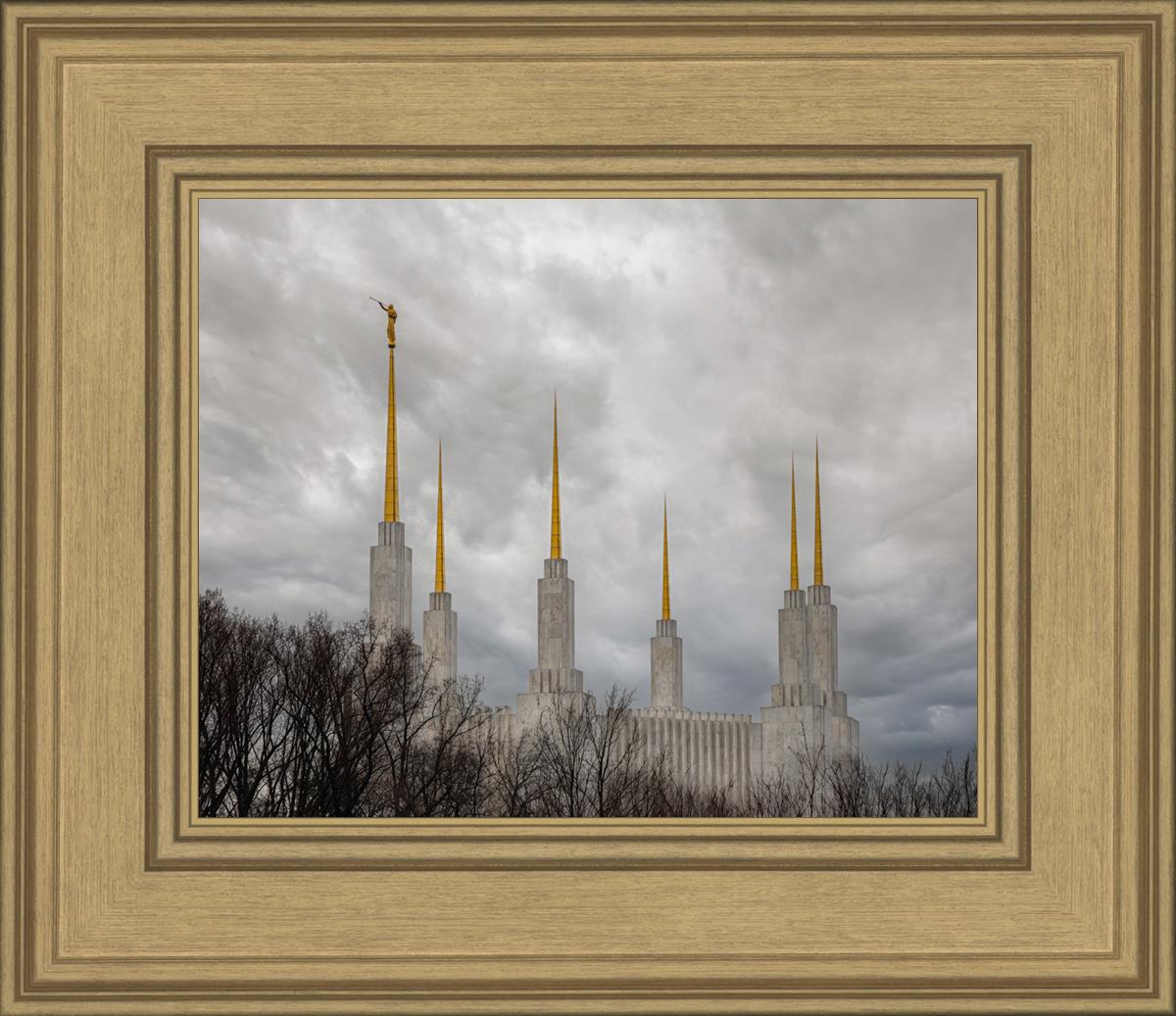Washington DC Through Life's Storms