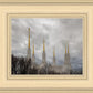 Washington DC Through Life's Storms