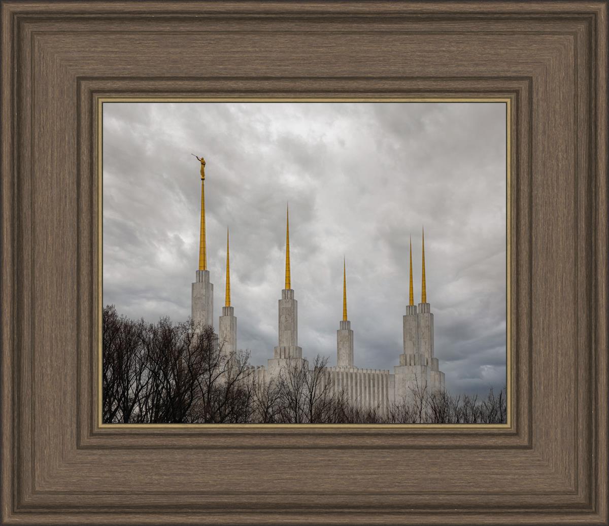 Washington DC Through Life's Storms