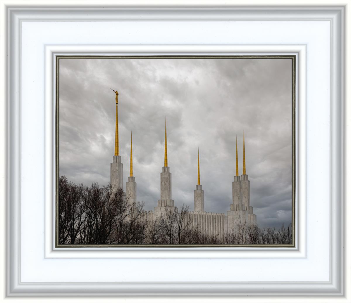Washington DC Through Life's Storms