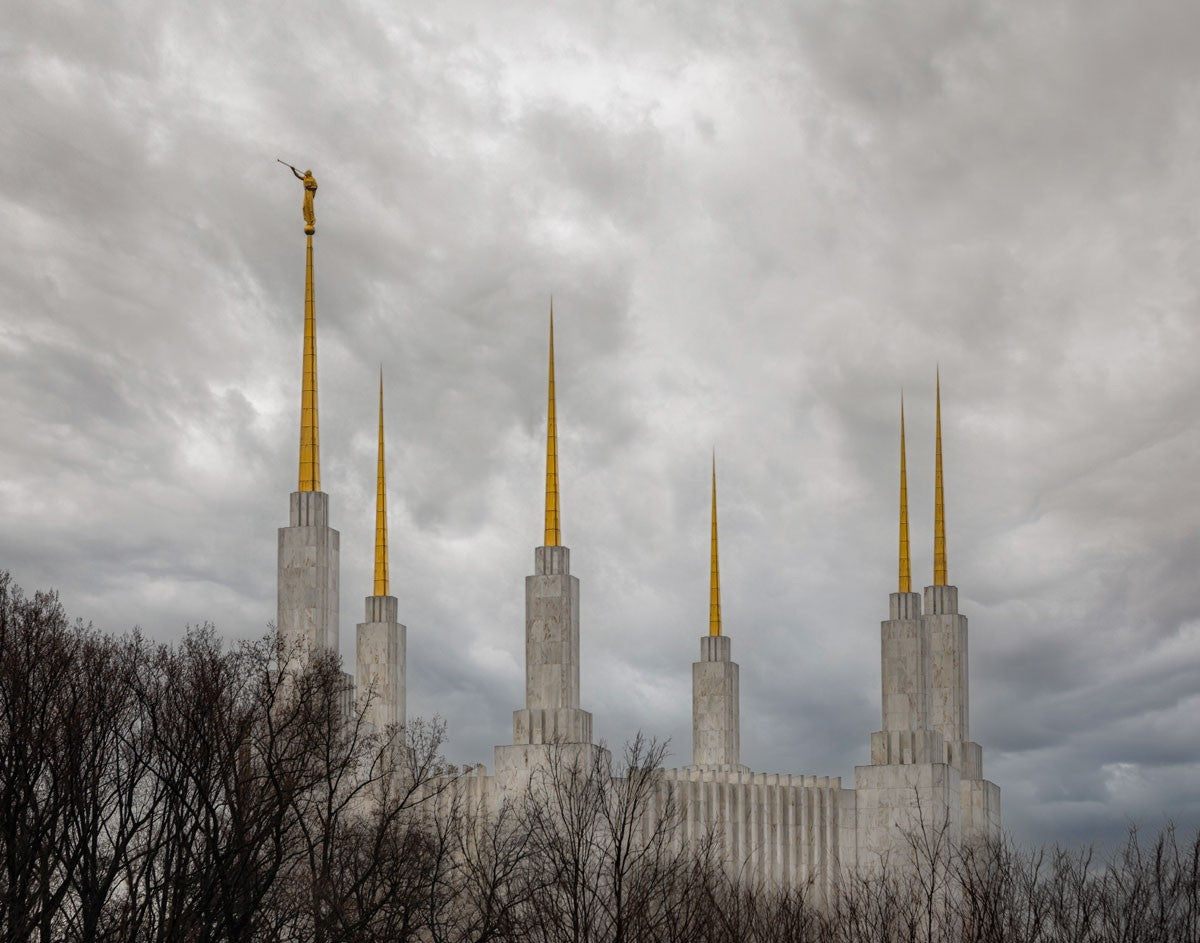 Washington DC Through Life's Storms Gallery Wrap
