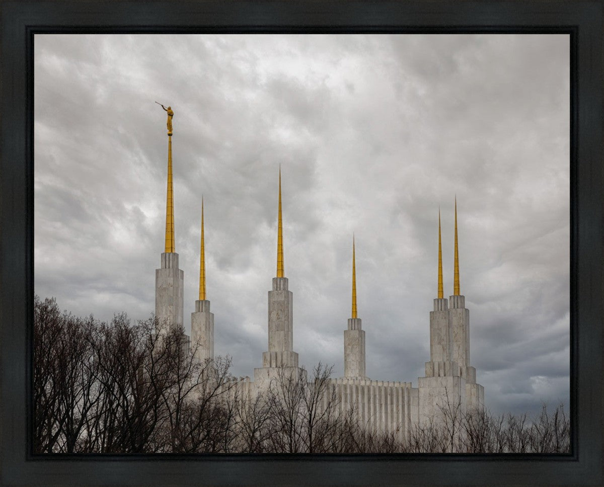 Washington DC Through Life's Storms Gallery Wrap
