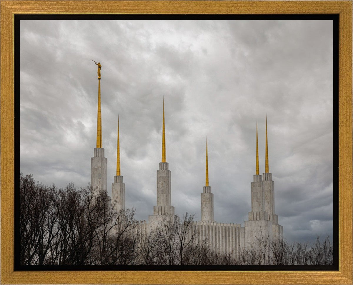 Washington DC Through Life's Storms Gallery Wrap