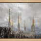 Washington DC Through Life's Storms