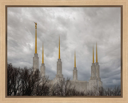 Washington DC Through Life's Storms