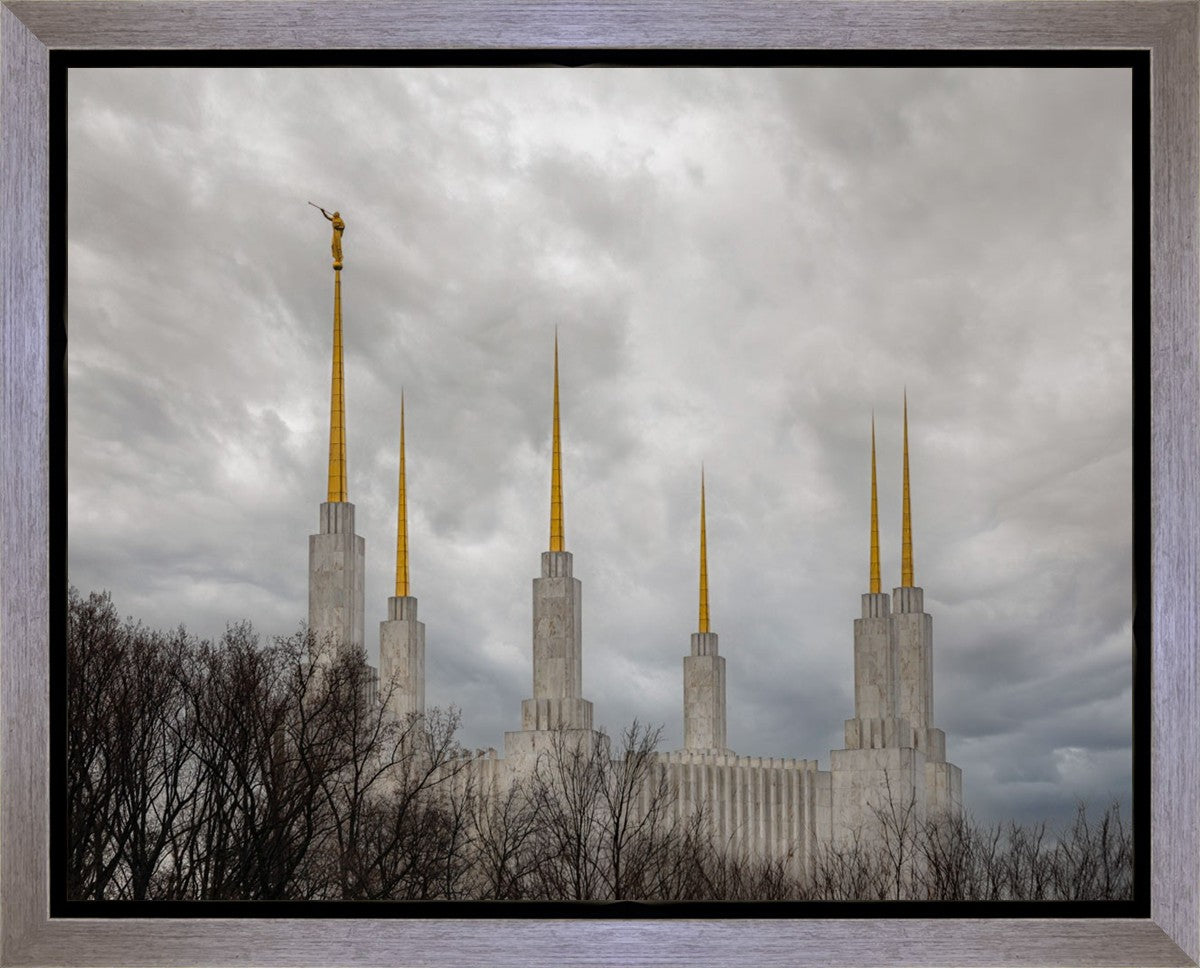 Washington DC Through Life's Storms Gallery Wrap