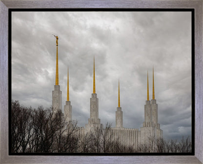 Washington DC Through Life's Storms