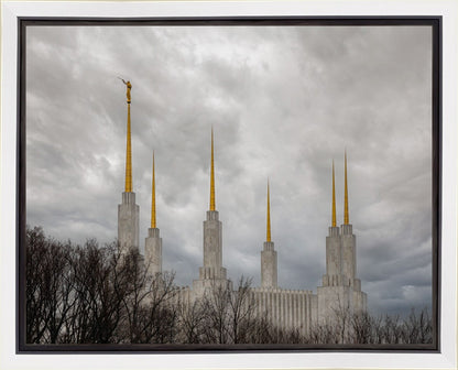 Washington DC Through Life's Storms