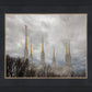 Washington DC Through Life's Storms