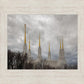 Washington DC Through Life's Storms