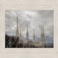 Washington DC Through Life's Storms